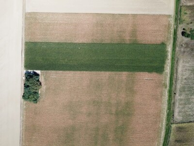 Pokusi navodnjavanja kukuruza Rivulis sistemima "kap po kap"