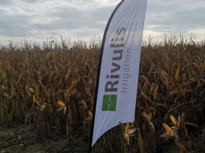 Pokusi navodnjavanja kukuruza Rivulis sistemima "kap po kap"