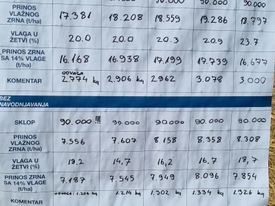 Pokusi navodnjavanja kukuruza Rivulis sistemima "kap po kap"