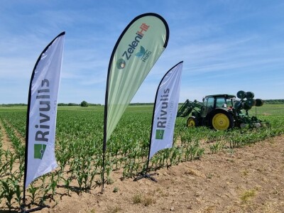 Pokusi navodnjavanja kukuruza Rivulis sistemima "kap po kap"