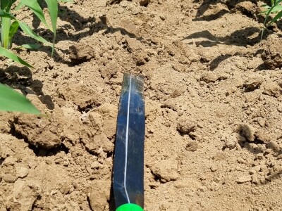 Pokusi navodnjavanja kukuruza Rivulis sistemima "kap po kap"