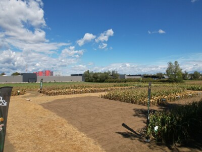 Dan polja BC hibrida kukuruza i suncokreta te sorti soje