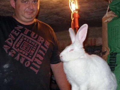 Uspješan kunićar Žarko Bočak iz Trstenika Uspješan kunićar Žarko Bočak iz Trstenika