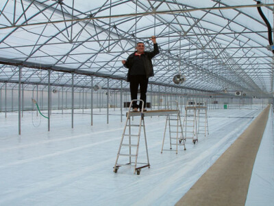 Uzgoj rajčice u hidroponima Uzgoj rajčice u hidroponima