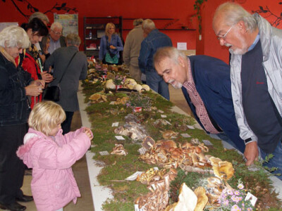 34. Izložba gljiva u Zagrebu