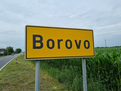 Polja suncokreta u lipanj