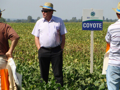 Dan polja šećerne repe Tvornice šećera Viro