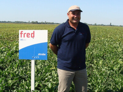 Dan polja šećerne repe Tvornice šećera Viro