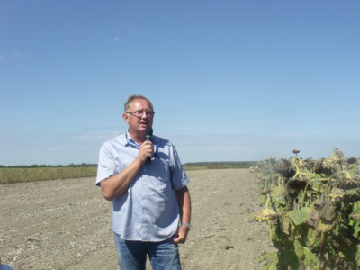 Dani polja kukuruza, soje i suncokreta