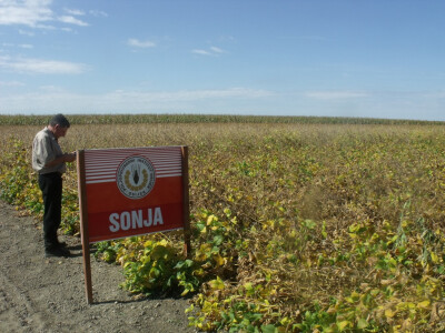 Dani polja kukuruza, soje i suncokreta
