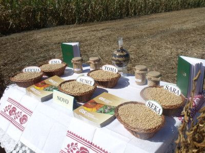 Dani polja kukuruza, soje i suncokreta