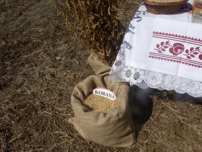 Dani polja kukuruza, soje i suncokreta