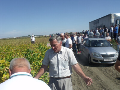 Dani polja kukuruza, soje i suncokreta