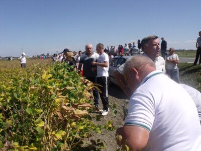 Dani polja kukuruza, soje i suncokreta