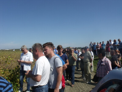 Dani polja kukuruza, soje i suncokreta