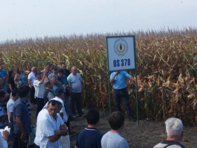 Dani polja suncokreta, soje i kukuruza Dani polja suncokreta, soje i kukuruza