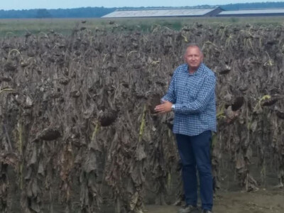 Anto Mijić Anto Mijić