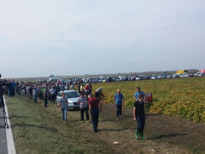 Dani polja suncokreta, soje i kukuruza Dani polja suncokreta, soje i kukuruza