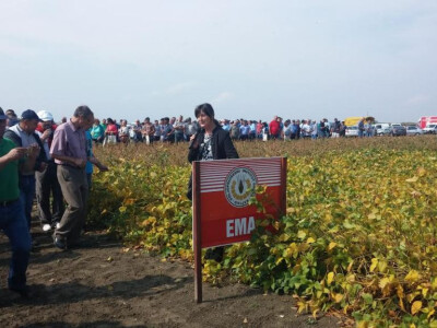 Aleksandra Sudarić Aleksandra Sudarić