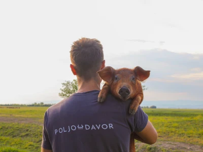 Poljo-Davor