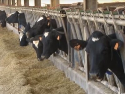 Obrenovački poljoprivrednici u poseti sajmu u Veroni