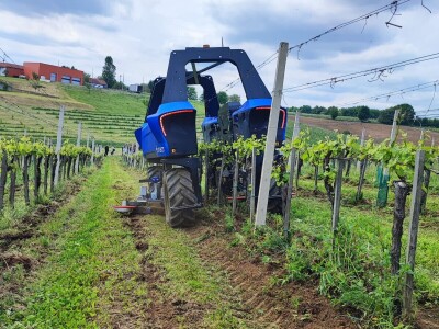 Poljonova prezentacija ViniBotovog robota Bakus
