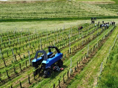 Poljonova prezentacija ViniBotovog robota Bakus
