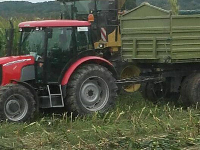 Žetva silažnog kukuruza