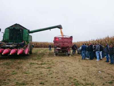 Odličan prinos kukuruza