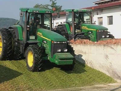 Silaža za tov junadi