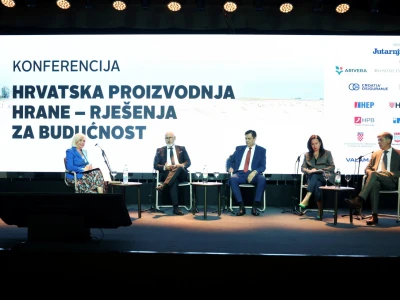 Kako smanjiti ovisnost o uvozu i stvoriti temelje za snažnije domaću proizvodnje?