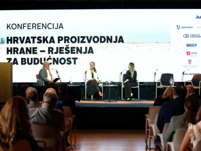 Kako smanjiti ovisnost o uvozu i stvoriti temelje za snažnije domaću proizvodnje?