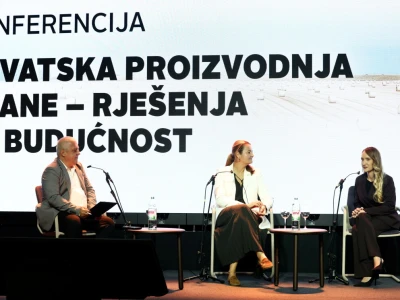 Kako smanjiti ovisnost o uvozu i stvoriti temelje za snažnije domaću proizvodnje?