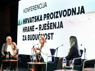 Kako smanjiti ovisnost o uvozu i stvoriti temelje za snažnije domaću proizvodnje?