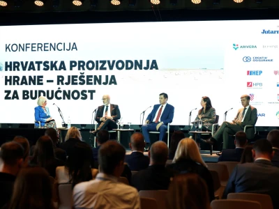 Kako smanjiti ovisnost o uvozu i stvoriti temelje za snažnije domaću proizvodnje?