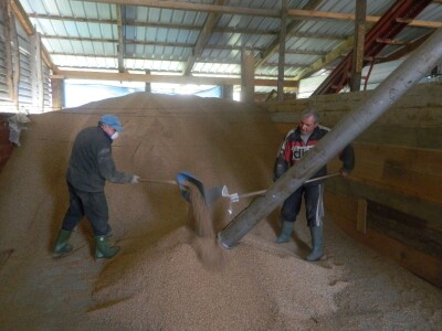 Poljoprivreda - porodična tradicija Radisavljevića