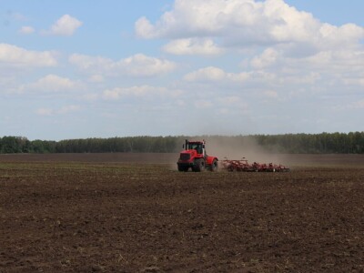 Poljoprivreda Rusije ide naprijed