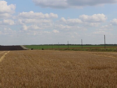 Poljoprivreda Rusije ide naprijed
