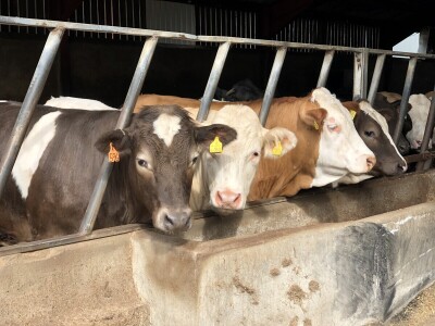 Poljoprivreda Škotske