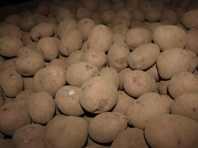 Poljoprivreda Škotske