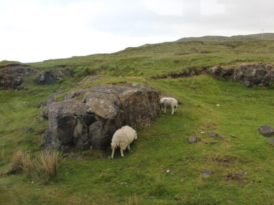 Poljoprivreda Škotske