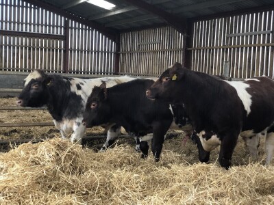 Poljoprivreda Škotske