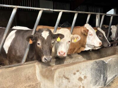 Poljoprivreda Škotske