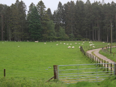 Poljoprivreda Škotske