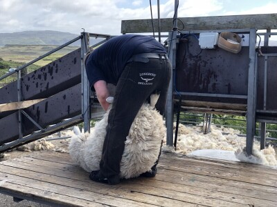 Poljoprivreda Škotske