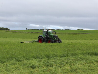 Poljoprivreda Škotske