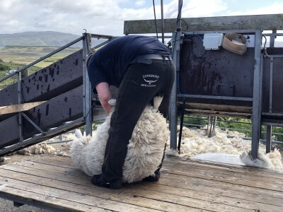 Poljoprivreda Škotske