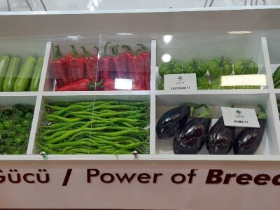 Poljoprivreda Turske