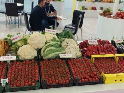 Poljoprivreda Turske