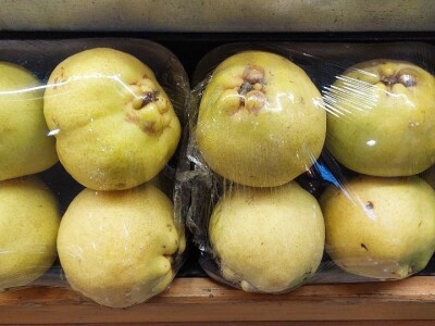 Poljoprivreda Turske